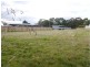 5 Trochus Street, Orford TAS 7190