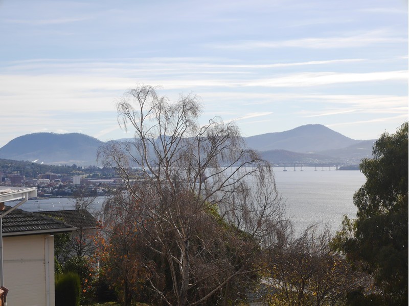 12A Ascot Avenue, Sandy Bay TAS 7005