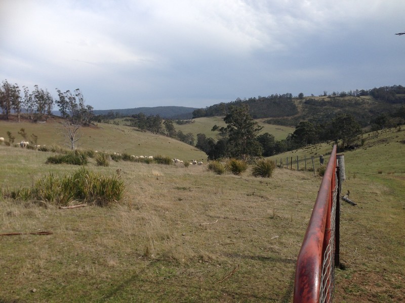 Bresnehans Road, Little Swanport TAS 7190