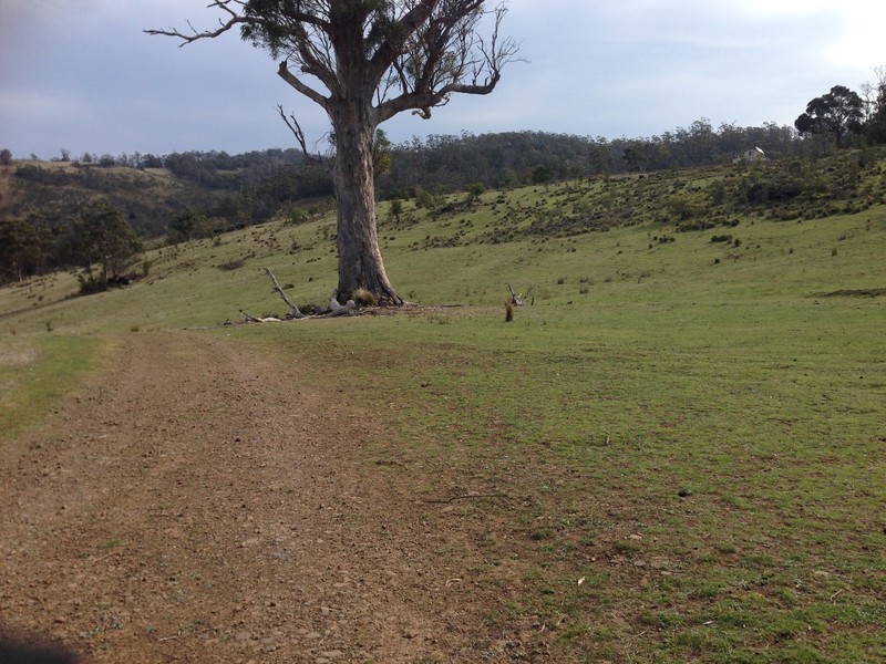 Bresnehans Road, Little Swanport TAS 7190