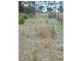 Lot 62b,  Bernacchi Drive, Orford TAS 7190