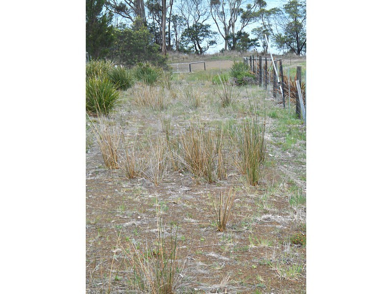 Lot 62b,  Bernacchi Drive, Orford TAS 7190