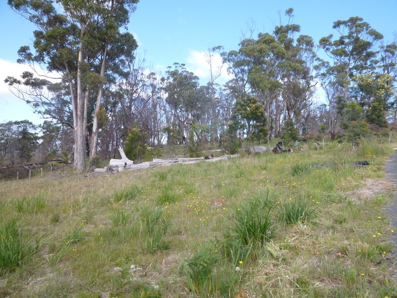 23 Bernacchi Drive, Orford TAS 7190