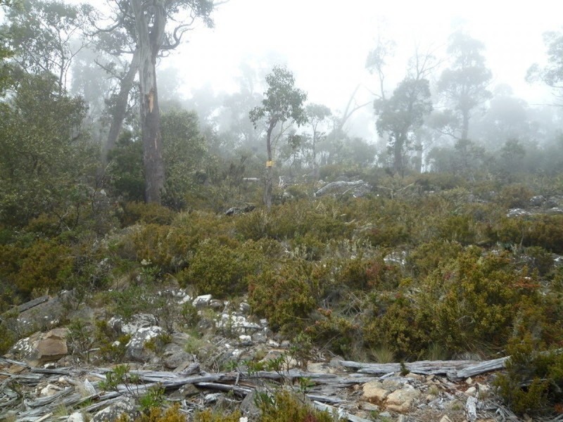 Lot 689,  Ruby Lane, Miena TAS 7030