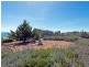 6 Alexander Court, Lewisham TAS 7173