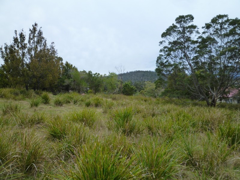 52 Charles Street, Orford TAS 7190
