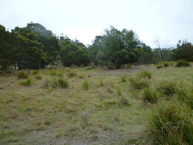 52 Charles Street, Orford TAS 7190