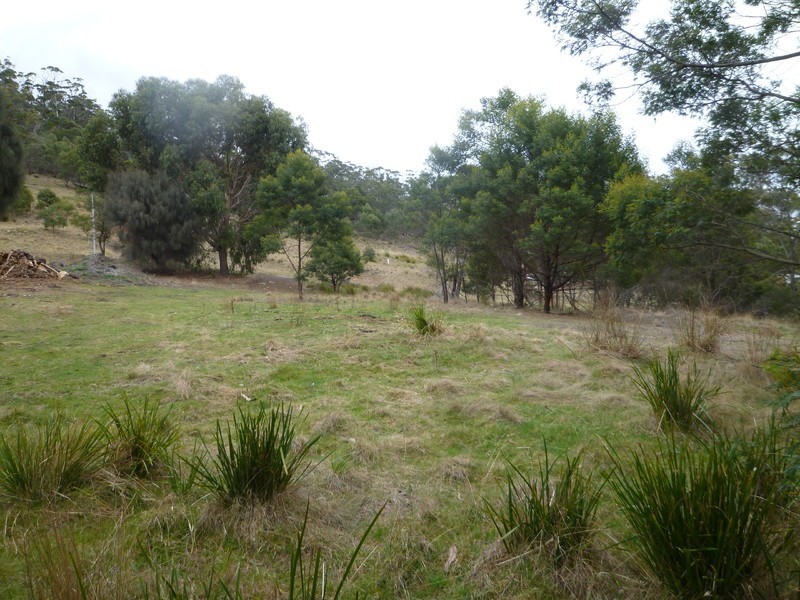 52 Charles Street, Orford TAS 7190