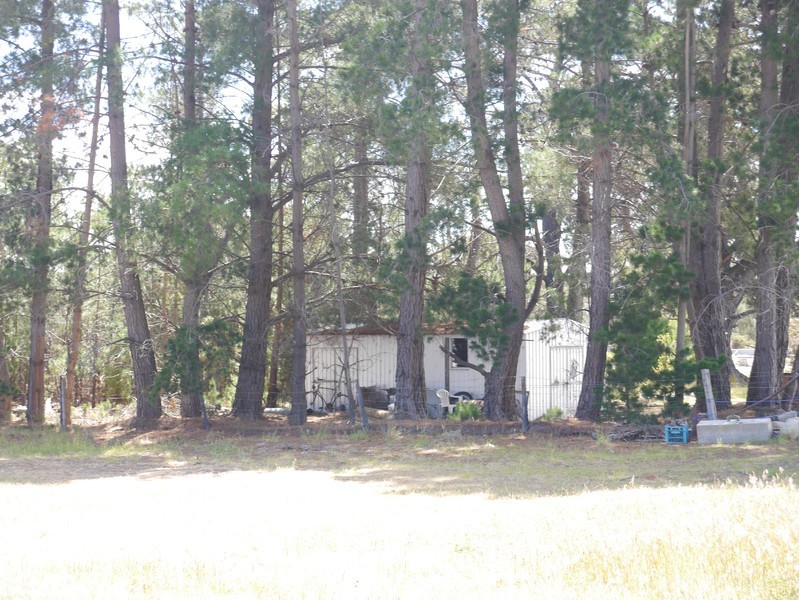 4 Amelia Street, Triabunna TAS 7190