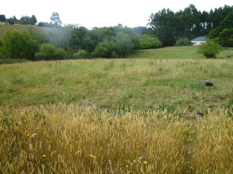 Lot 1,  Four Foot Road, Geeveston TAS 7116