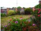 6 Charles Street, Orford TAS 7190