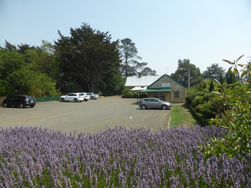 44 High Street, Oatlands TAS 7120