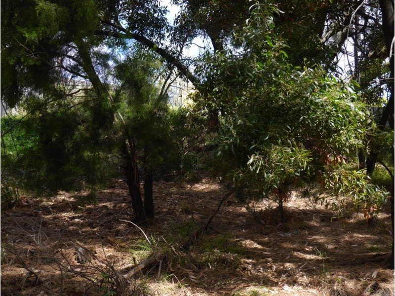 41 Nicholas Drive, Kingston Beach TAS 7050