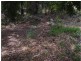 41 Nicholas Drive, Kingston Beach TAS 7050