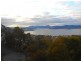 7/54 Nicholas Drive, Sandy Bay TAS 7005