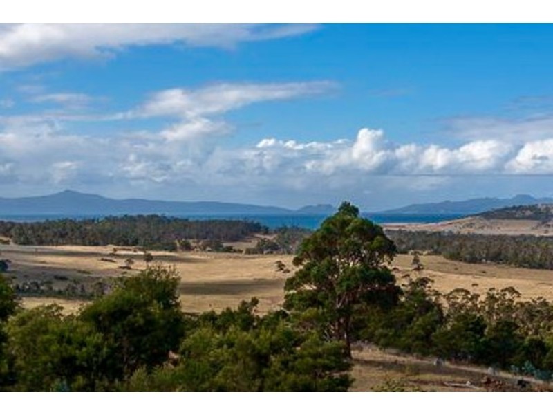 31 Bresnehans Road, Little Swanport TAS 7190