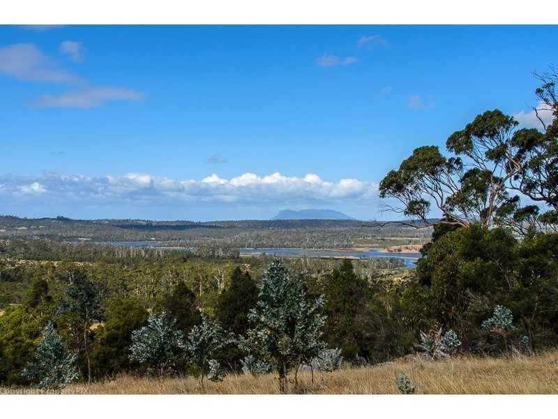 31 Bresnehans Road, Little Swanport TAS 7190