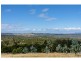 31 Bresnehans Road, Little Swanport TAS 7190