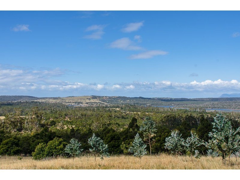 31 Bresnehans Road, Little Swanport TAS 7190