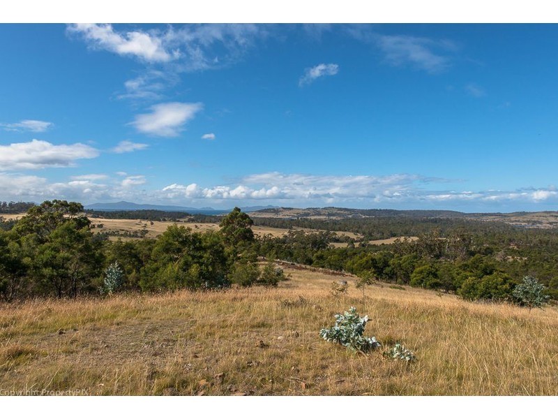 31 Bresnehans Road, Little Swanport TAS 7190