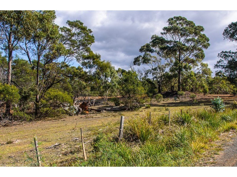 31 Bresnehans Road, Little Swanport TAS 7190