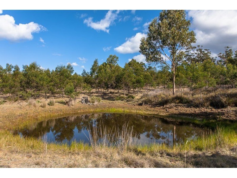 31 Bresnehans Road, Little Swanport TAS 7190