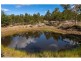 31 Bresnehans Road, Little Swanport TAS 7190