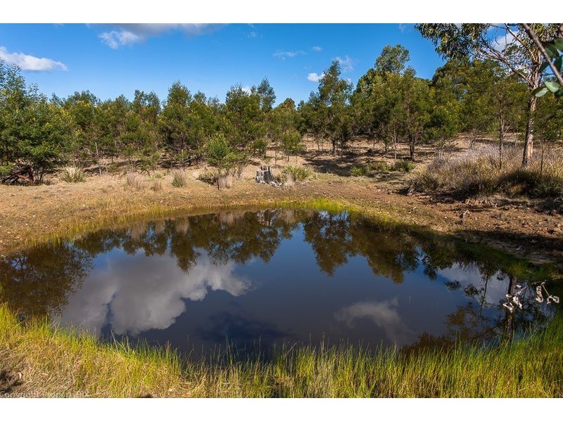 31 Bresnehans Road, Little Swanport TAS 7190