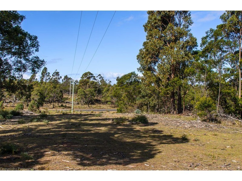 31 Bresnehans Road, Little Swanport TAS 7190