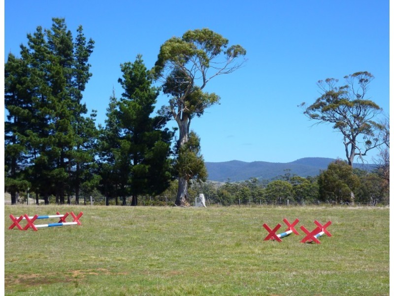 10048 Tasman Highway, Little Swanport TAS 7190