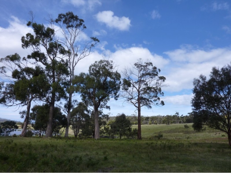 10048 Tasman Highway, Little Swanport TAS 7190