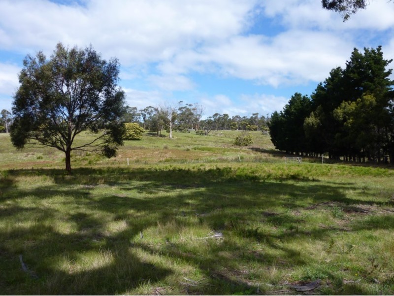 10048 Tasman Highway, Little Swanport TAS 7190