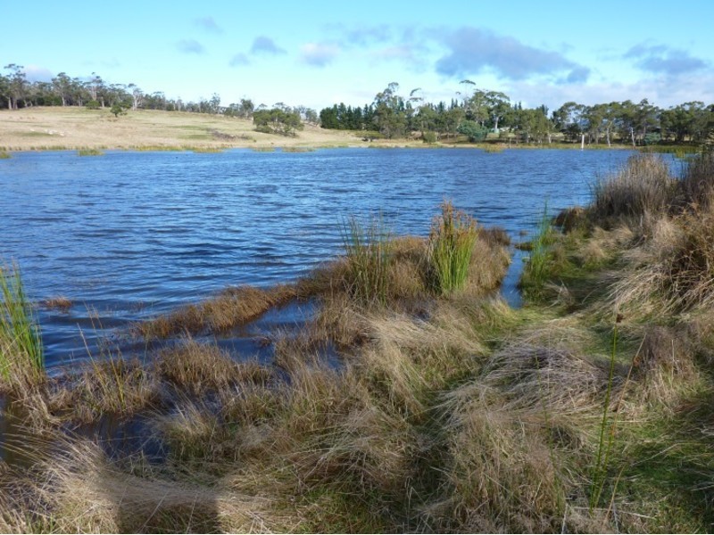 10048 Tasman Highway, Little Swanport TAS 7190