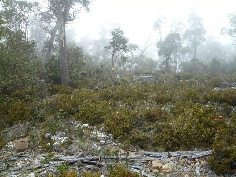 689 Ruby Lane, Miena TAS 7030