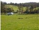 Tasman Highway, Buckland TAS 7190