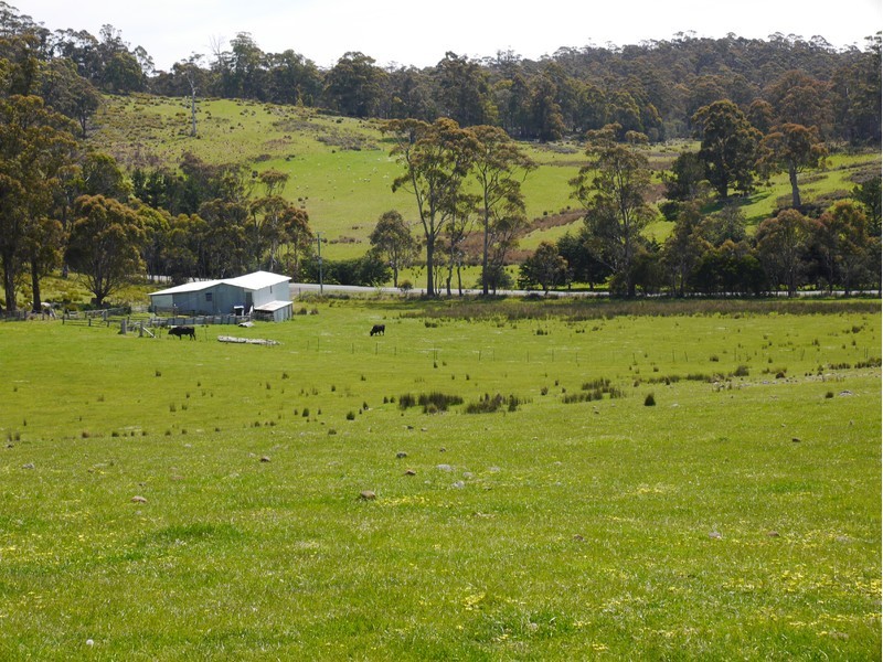 Tasman Highway, Buckland TAS 7190