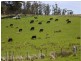 Tasman Highway, Buckland TAS 7190