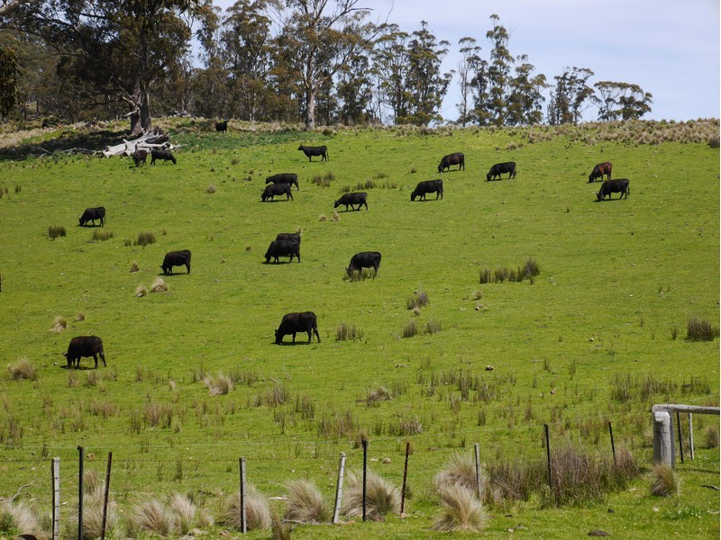 Tasman Highway, Buckland TAS 7190