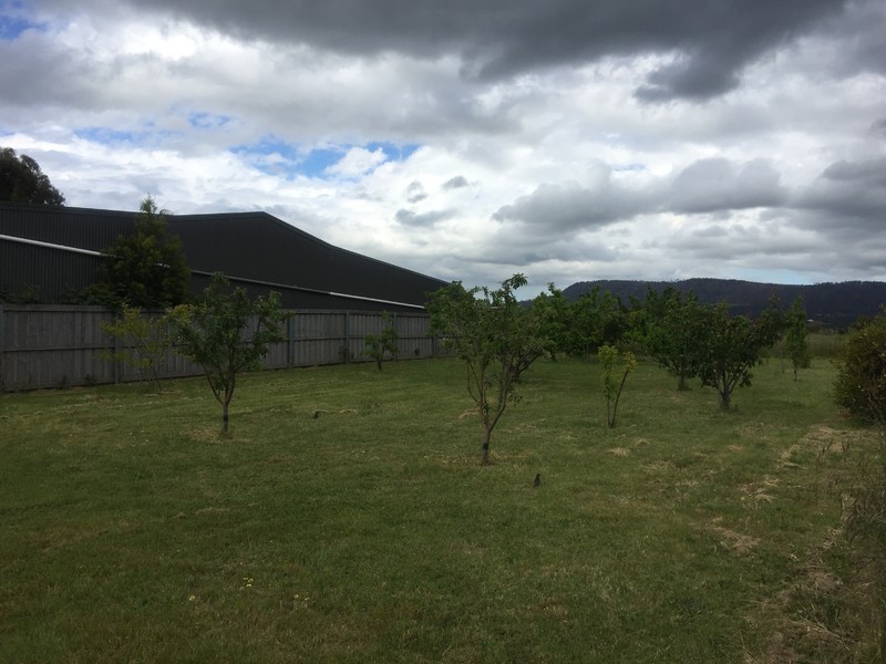 1 Staples Court, Old Beach TAS 7017