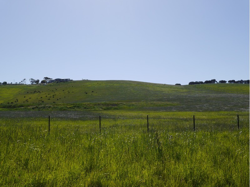 21 Delphis Drive, Sandford TAS 7020