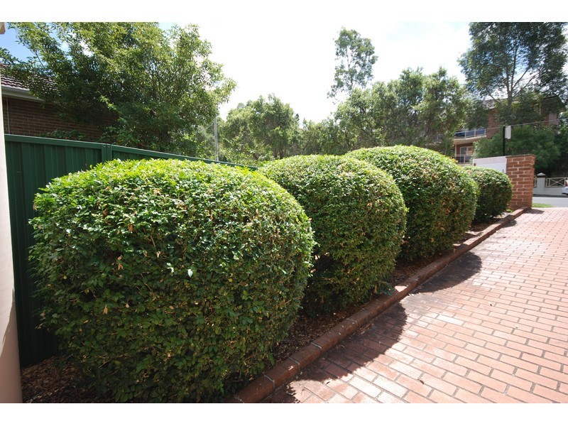 39 Harold Street, North Parramatta NSW 2151