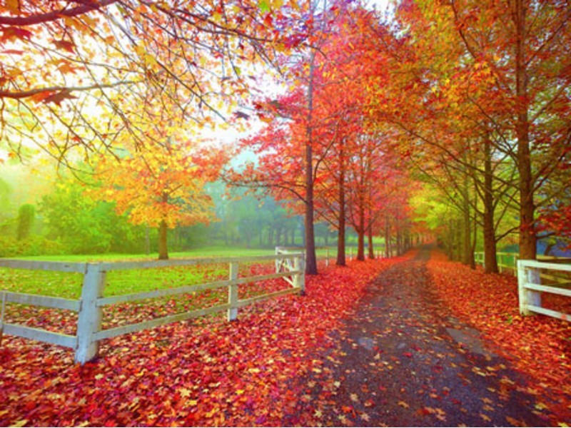 9/19 Moonstone Drive, Orange NSW 2800