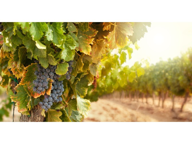 9/19 Moonstone Drive, Orange NSW 2800