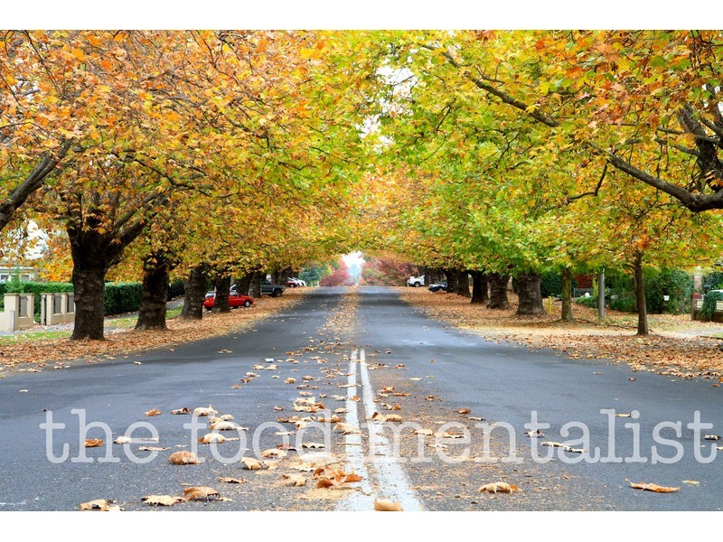 9/19 Moonstone Drive, Orange NSW 2800