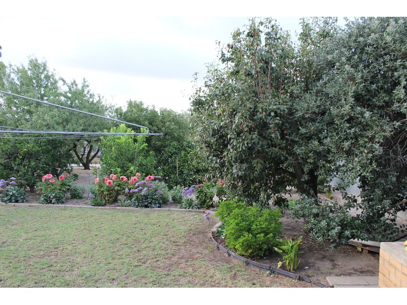 118 May Terrace, Ottoway SA 5013