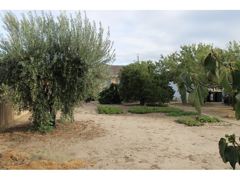 118 May Terrace, Ottoway SA 5013