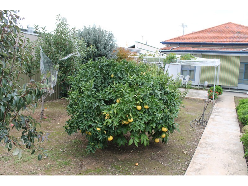 19 Hanson Road, Woodville North SA 5012