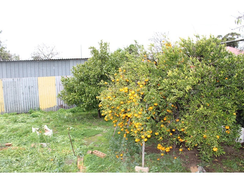 86 Edward Street, Ottoway SA 5013