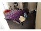 16 Shannon Place, Adelaide SA 5000