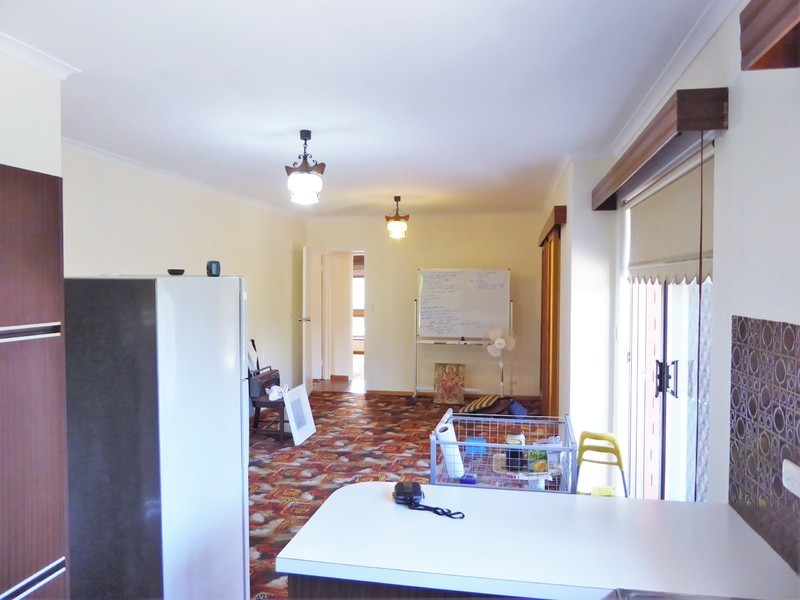 2 Morgan Street, West Hindmarsh SA 5007